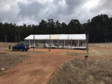 Wedding Marquee
